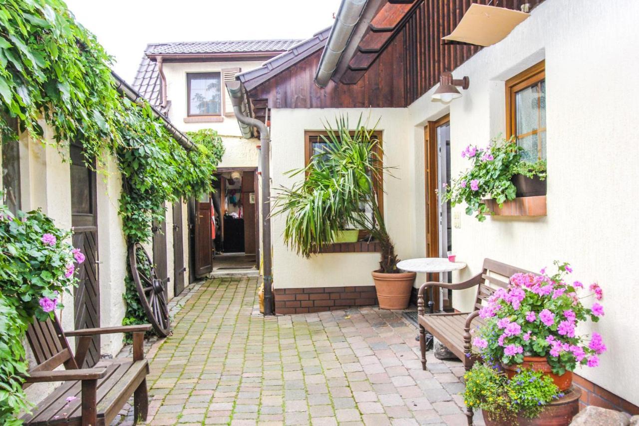 Likedeeler 3 Apartment Zingst Luaran gambar